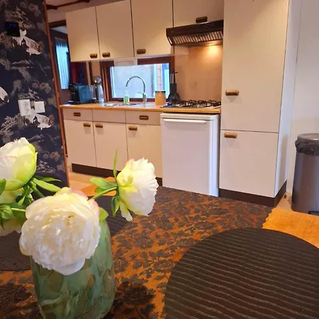 Wooden On The Veluwe In Nature - Quiet Putten