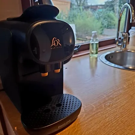 Wooden On The Veluwe In Nature - Quiet