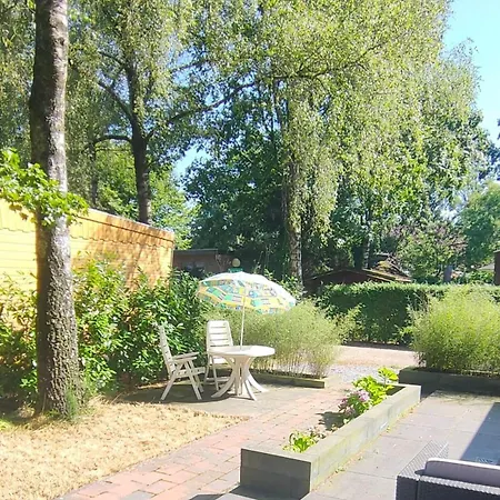 シャレー Modern Veluwe Wooden With Private Garden - Forest And Sauna Nearby *