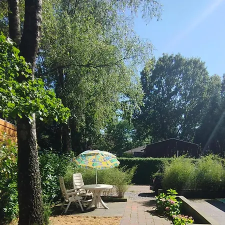 シャレー Modern Veluwe Wooden With Private Garden - Forest And Sauna Nearby プッテン