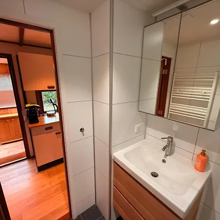 シャレー Modern Veluwe Wooden With Private Garden - Forest And Sauna Nearby プッテン