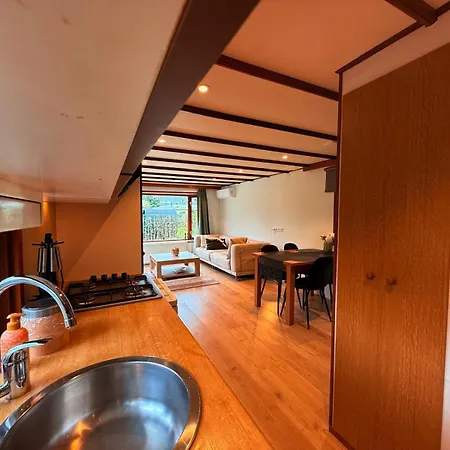 Modern Veluwe Wooden With Private Garden - Forest And Sauna Nearby プッテン