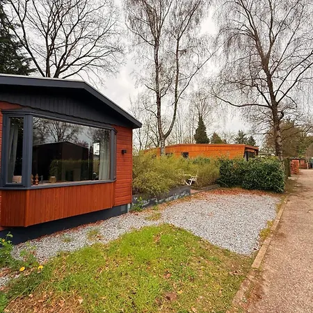 Modern Veluwe Wooden With Private Garden - Forest And Sauna Nearby プッテン