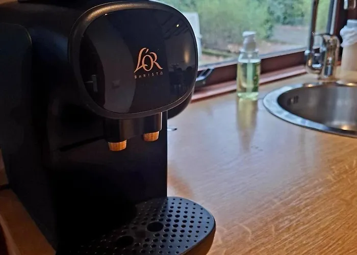 Wooden On The Veluwe In Nature - Quiet