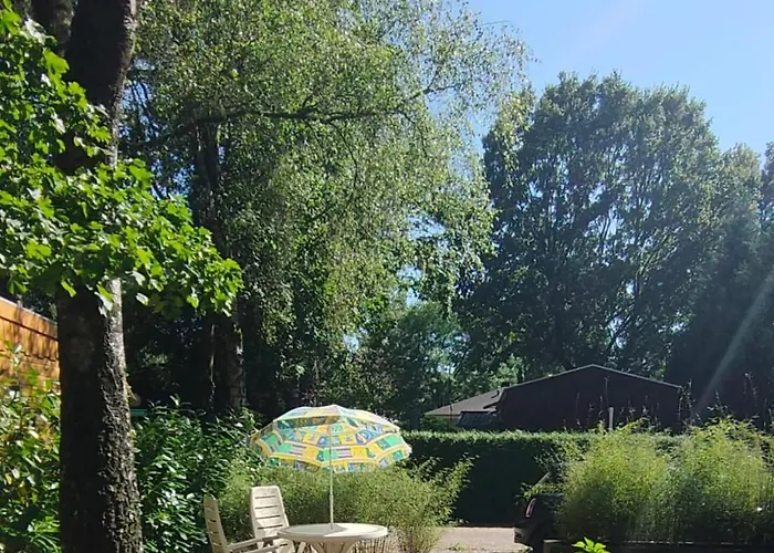 Chalet Wooden On The Veluwe In Nature - Quiet Putten